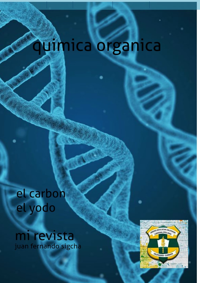 QUÍMICA ORGÁNICA QUIMICA ORGANICA