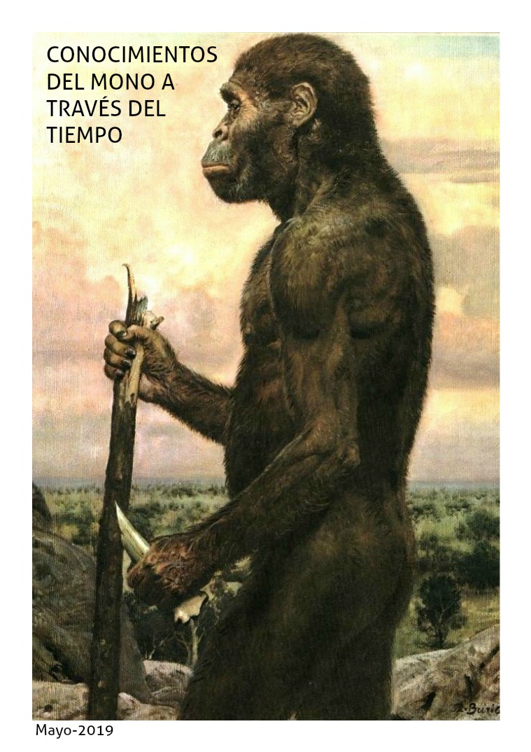 Evoluci´pon del hombre primitivo 1