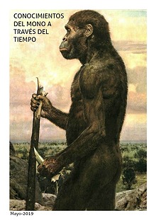 Evoluci´pon del hombre primitivo