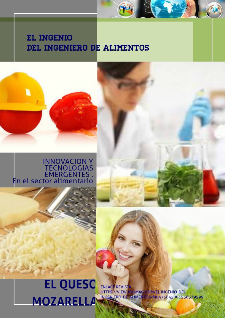 EL INGENIO DEL INGENIERO DE ALIMENTOS Primera Edicion