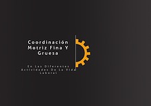 Coordinación Motriz Fina Y Gruesa