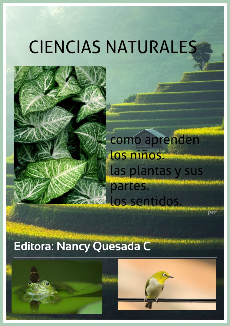 Ciencias Naturales para niños Ciencias Naturales para niños 1