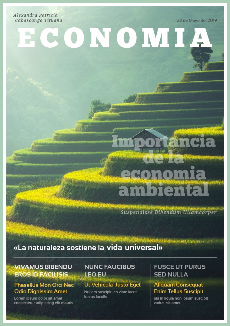 Composición del PIB economia