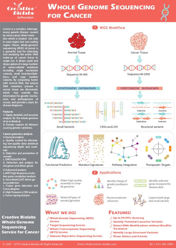 high-throughput sequencing Whole-Genome-Sequence-for-Cancer | Joomag ...