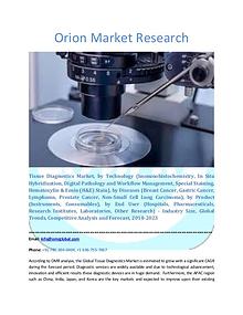 Orion Market Research Report