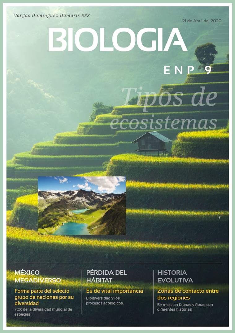 Tipos de ecosistemas Biologia