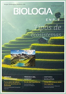 Tipos de ecosistemas