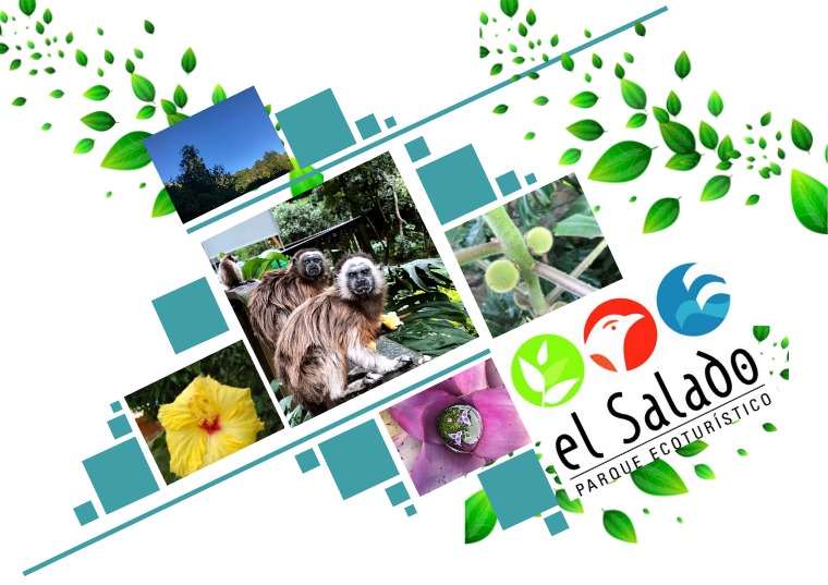 PARQUE ECOTURISTICO EL SALADO 1