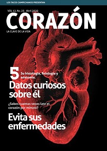 El corazón, la bomba de la vida