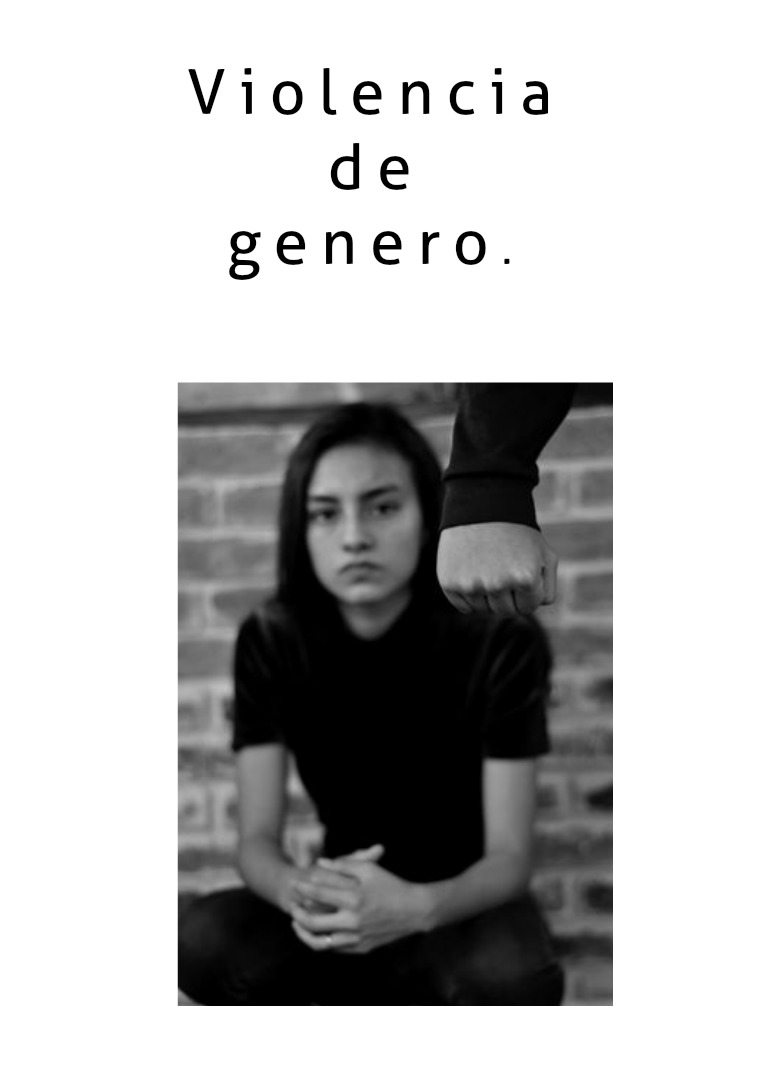 Violencia de genero violencia de genero