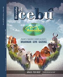 Revista El Cebú año 2020