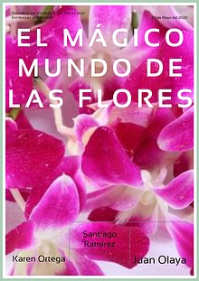 El mágico mundo de las flores