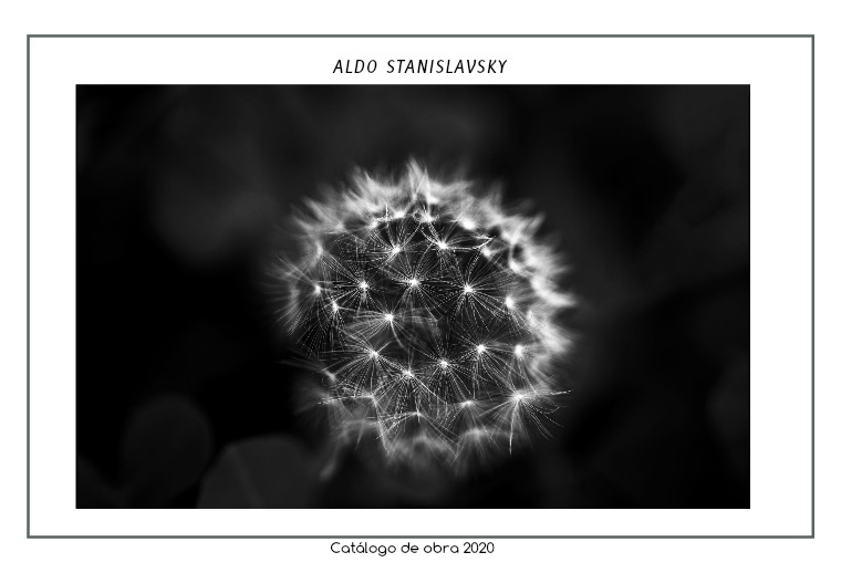 Aldo Stanislavsky. Catálogo de obra