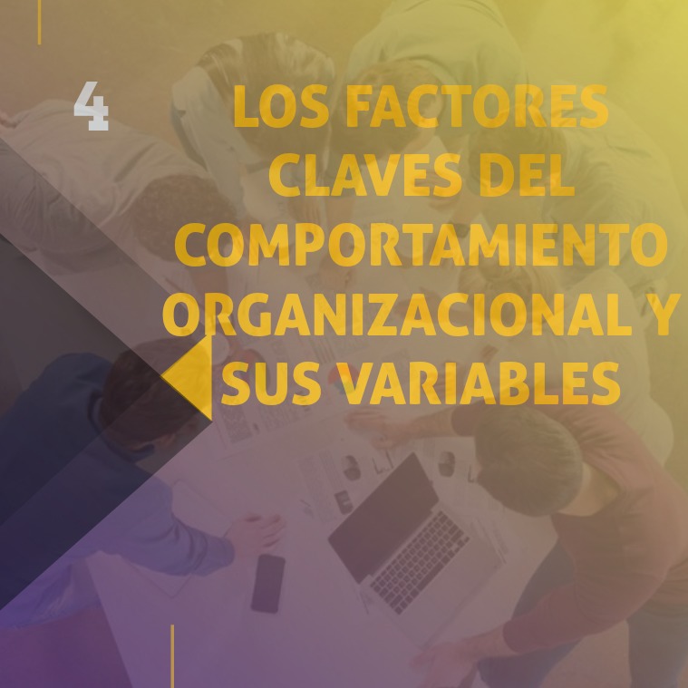 los factores claves del comportamiento organizacio