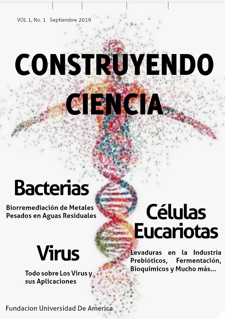 Construyendo Ciencia Edición 1