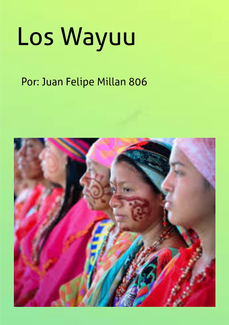 Juan Felipe Millan Bulla 806