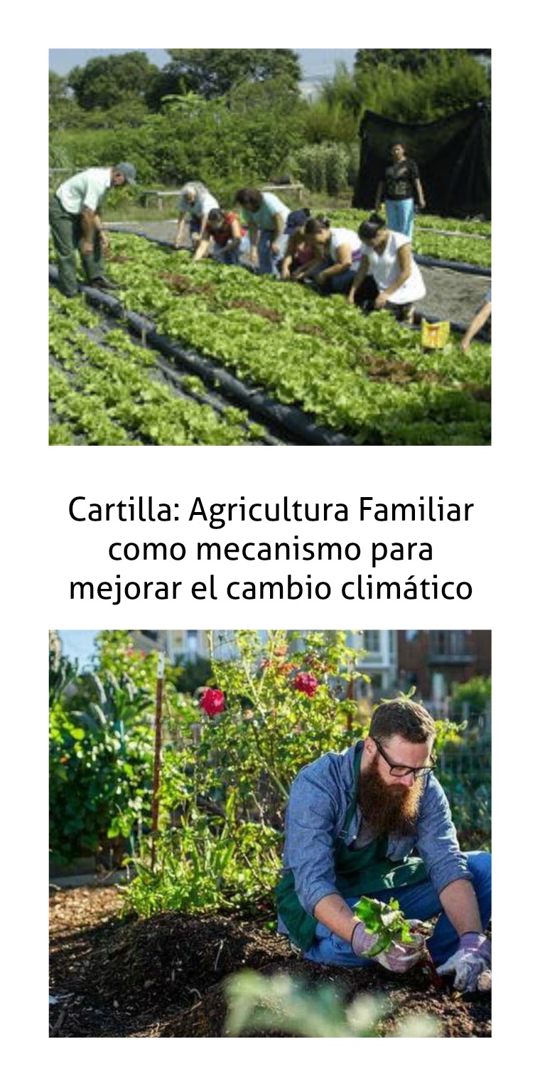 sobre agricultura familiar