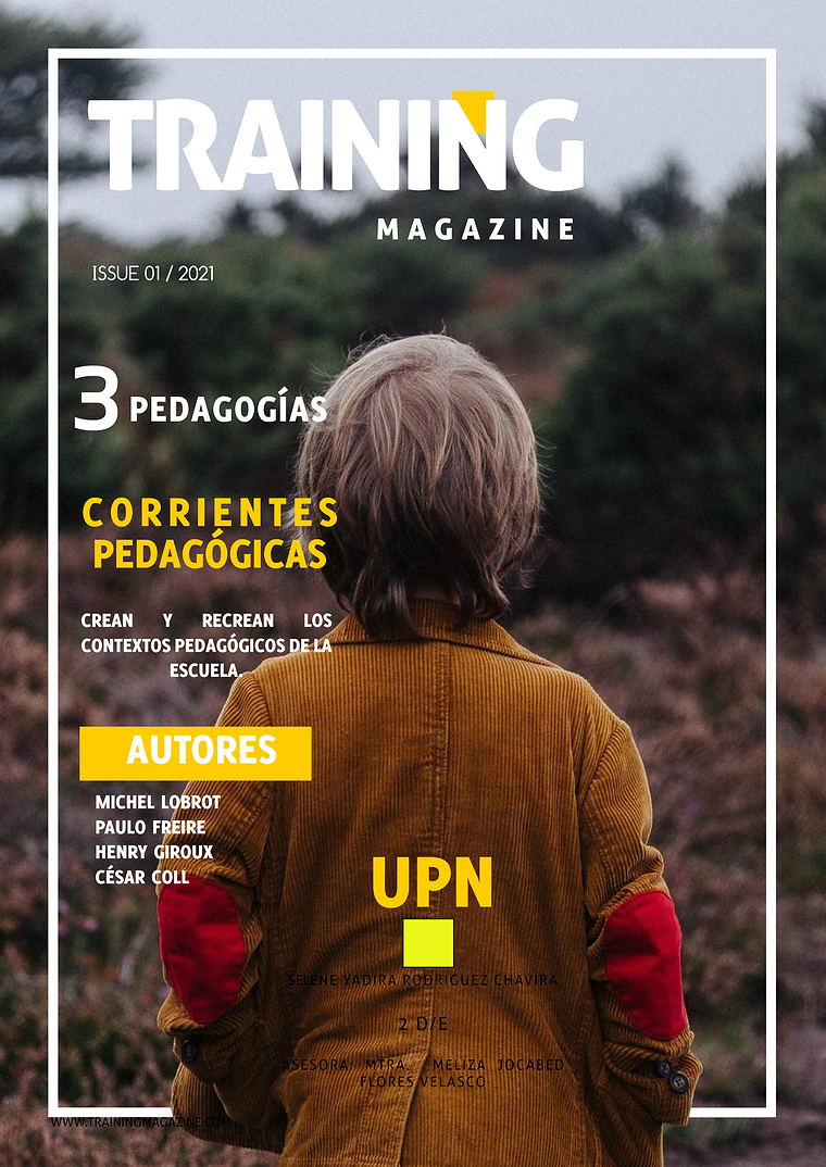 REVISTA DE FORMACION