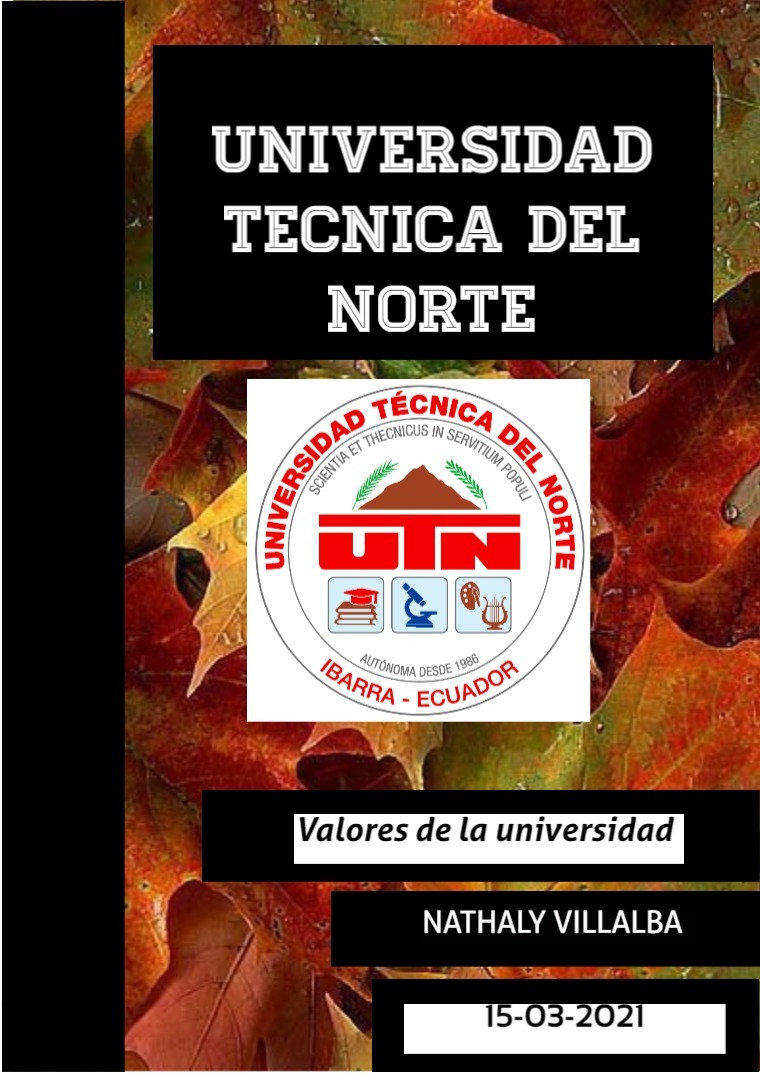 Valores de la UTN