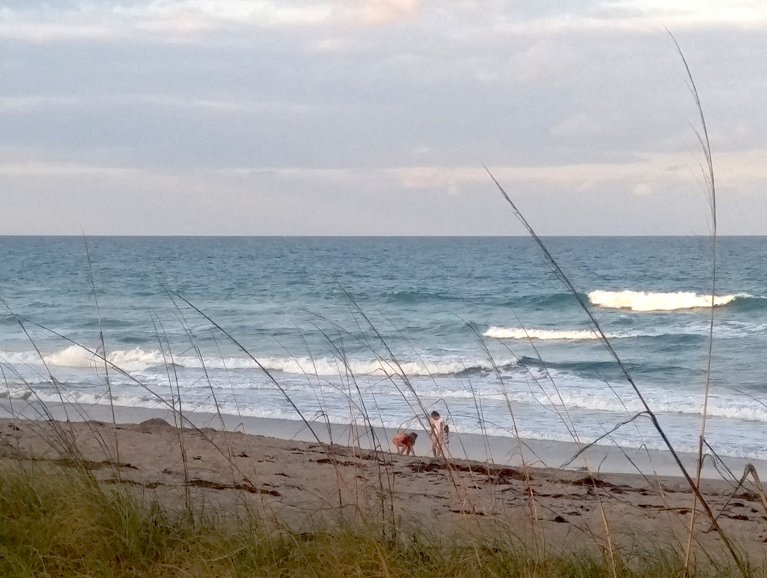 Beach with dunes and ocean waves