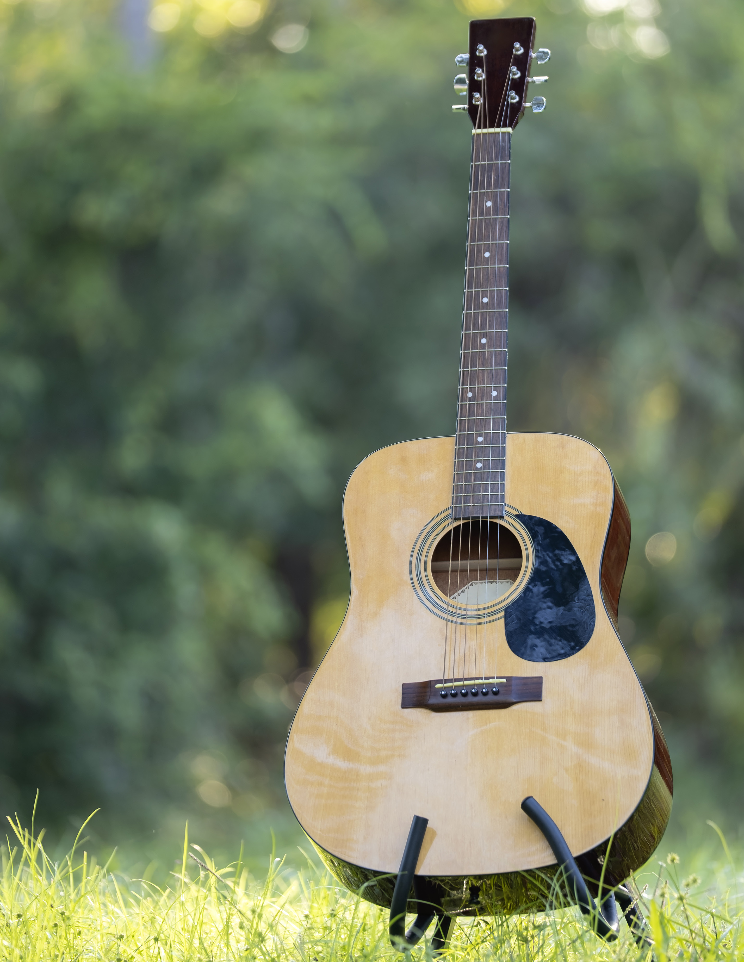 Acoustic guitar standing on grass