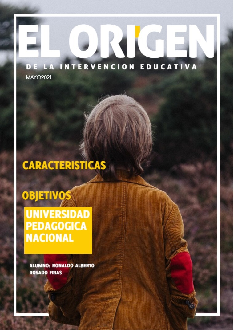 INTERVENCION EDUCATIVA