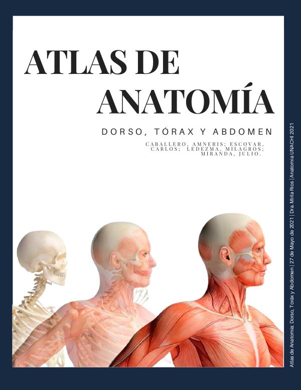 ATLAS ANATOMÍA