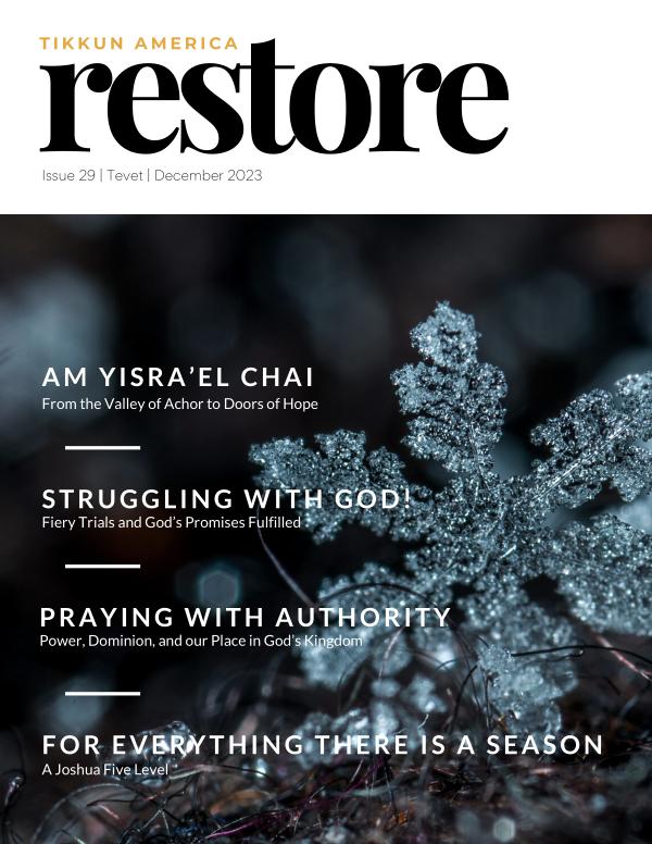 Tikkun America RESTORE Magazine Tevet | December 2023