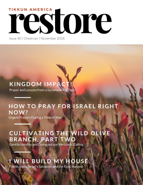 Tikkun America RESTORE Magazine Cheshvan | Nov 2024