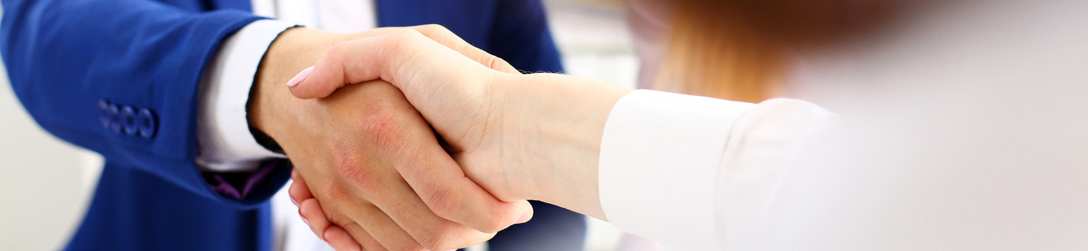 Two business professionals shaking hands to finalize an agreement