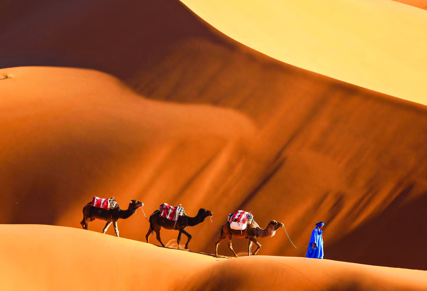 Sahara Desert