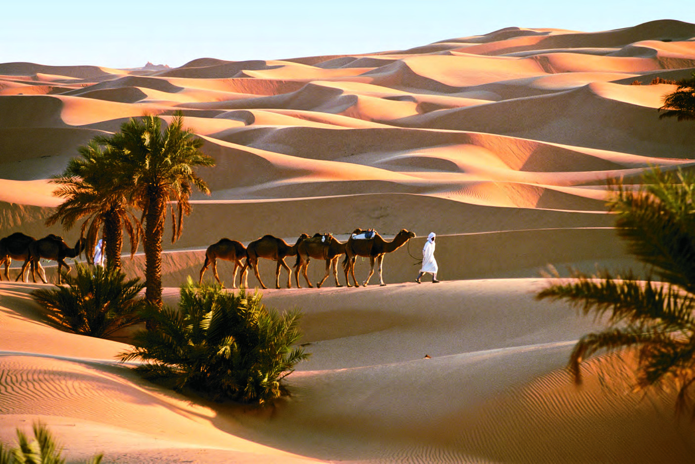 Sahara Desert