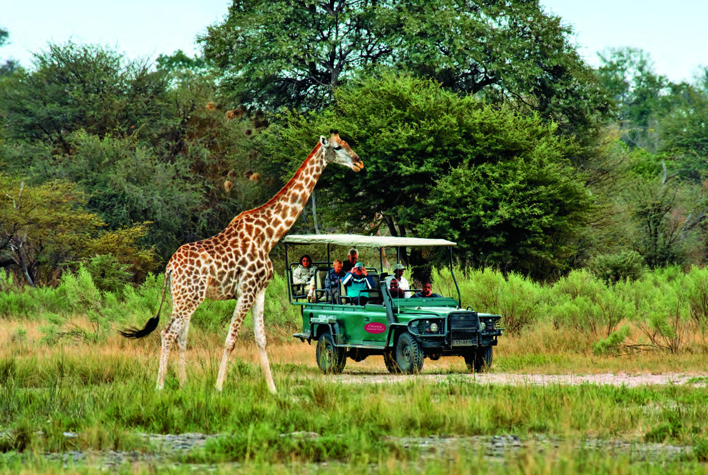 Chobe National Park, Botswana