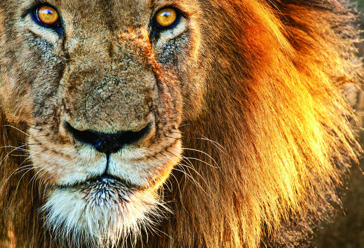 Hwange National Park, Zimbabwe