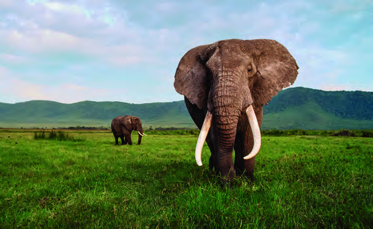 Serengeti National Park