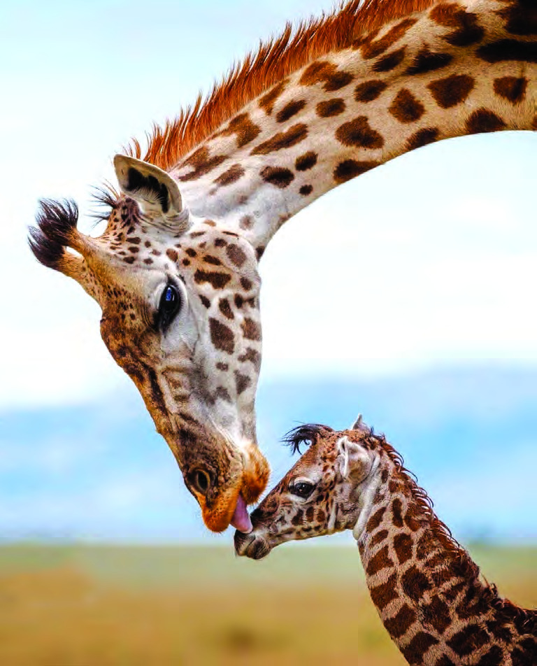 Tarangire National Park