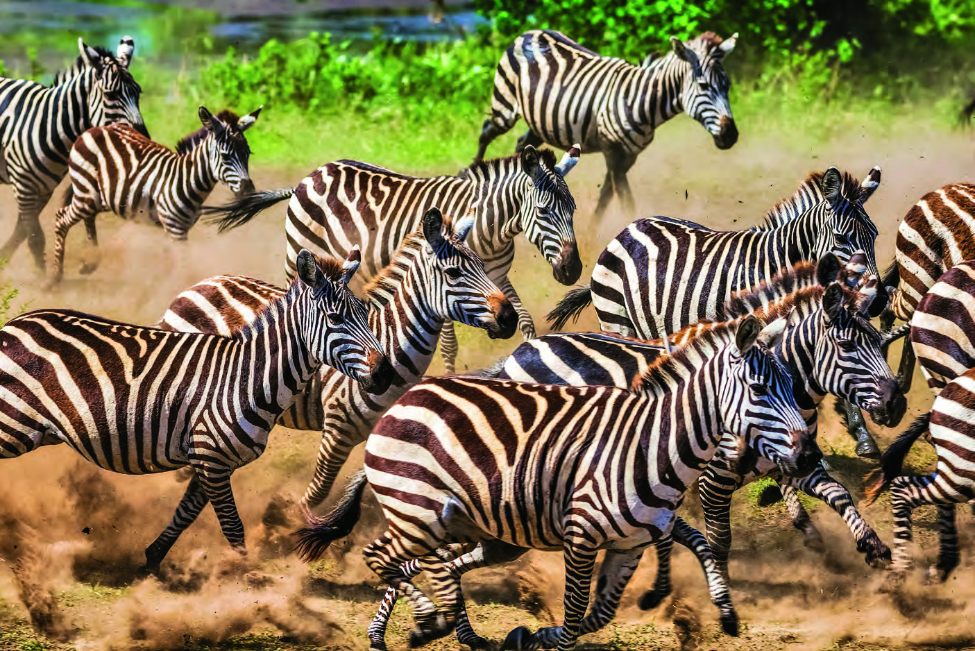 Amboseli National Park, Kenya
