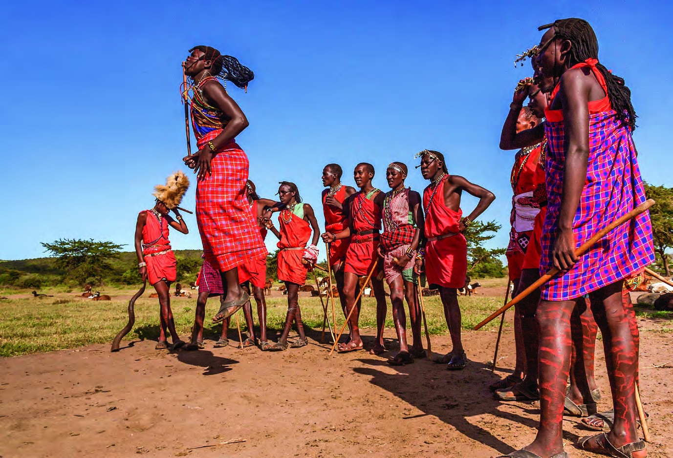 Maasai tribesmen