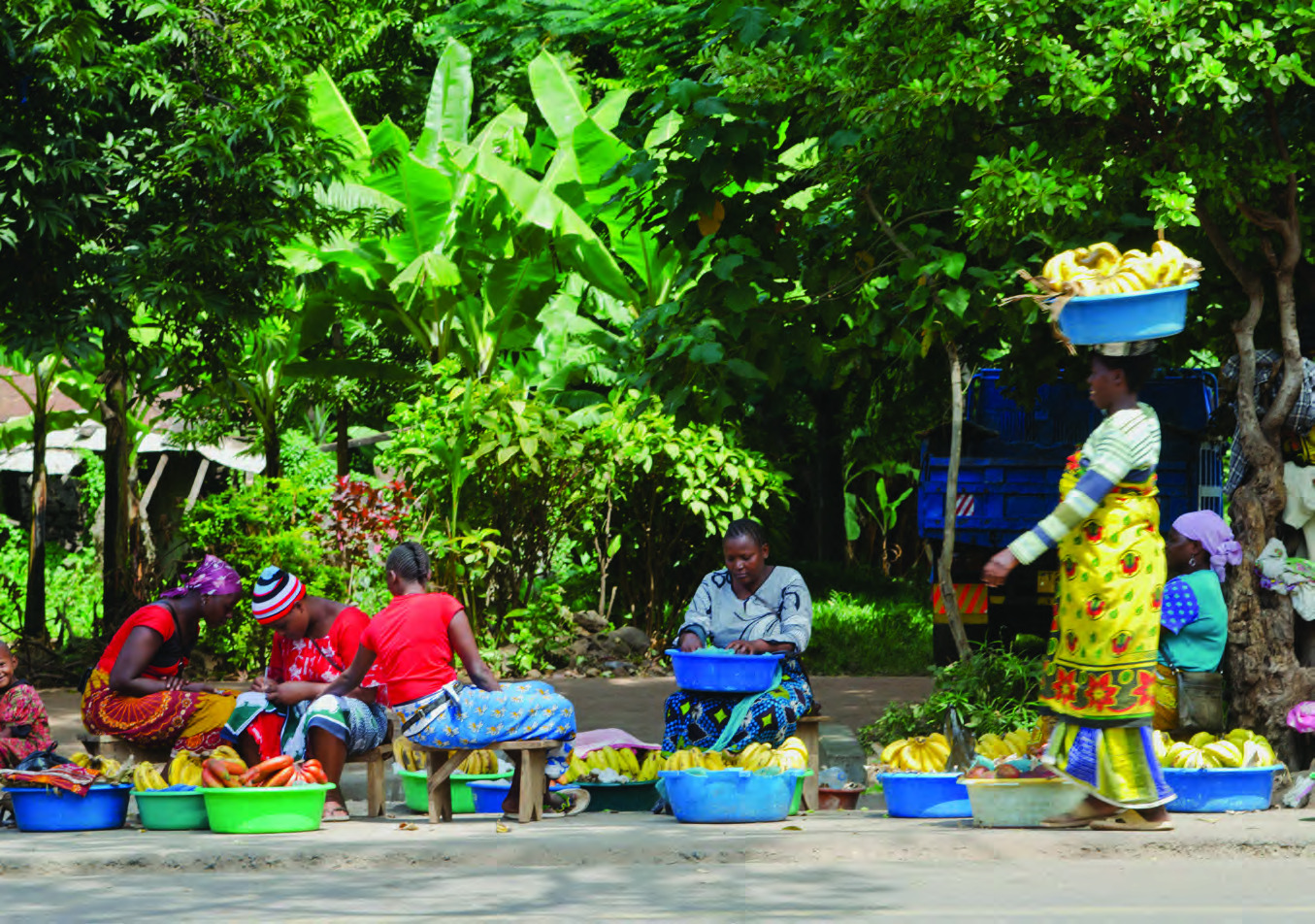 Mto Wa Mbu village, Tanzania
