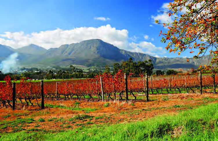 Franschhoek Valley, Cape Winelands, South Africa