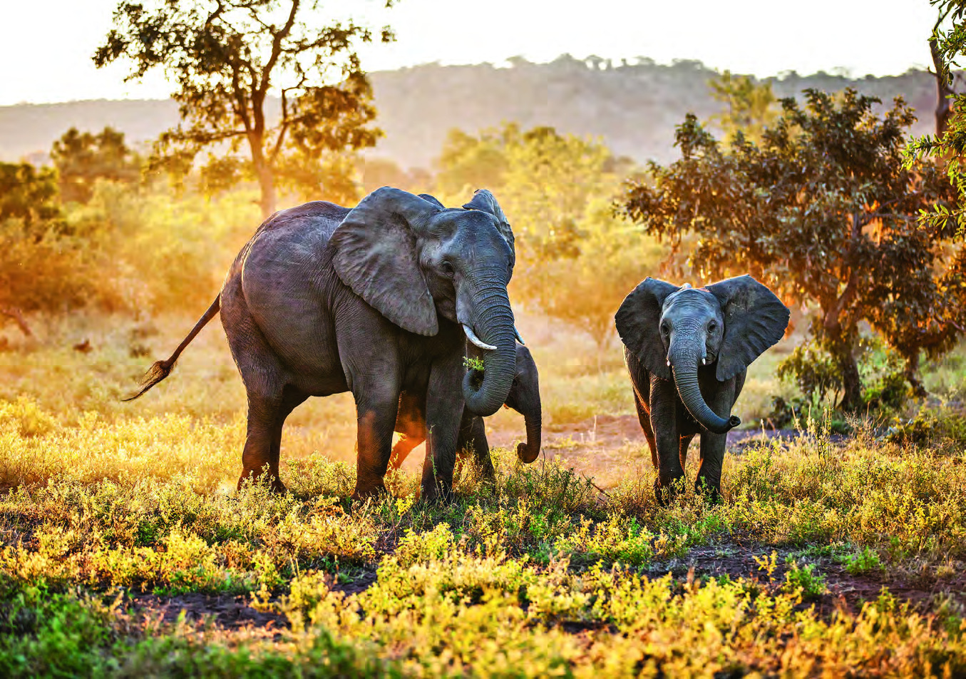 Mosi-oa-Tunya National Park, Zambia