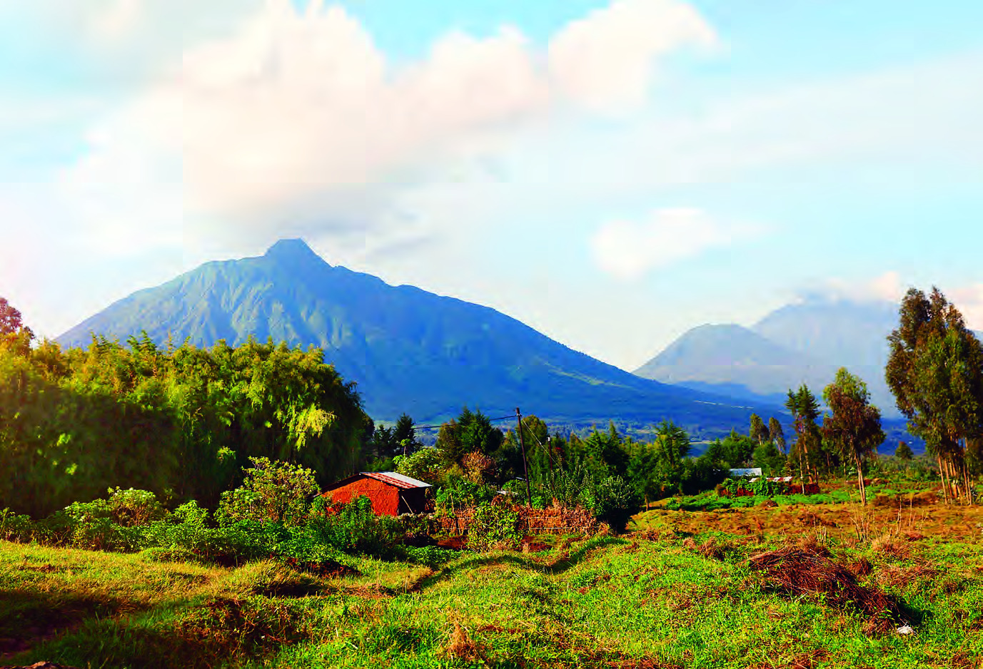 Virunga Mountains, Volcanoes National Park