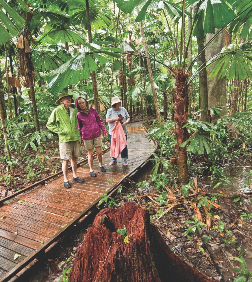 Cape Tribulation, Queensland