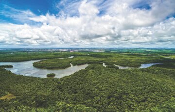 Amazon rainforest, Peru